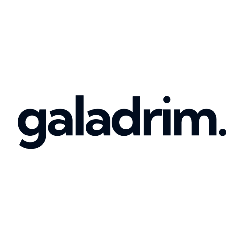 Logo Galadrim